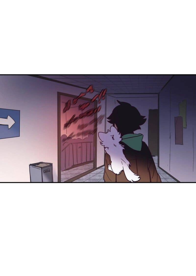 Lumine Chapter 73 - 54