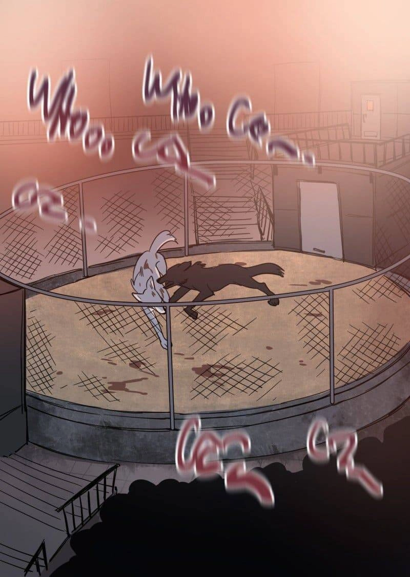 Lumine Chapter 74 - 4