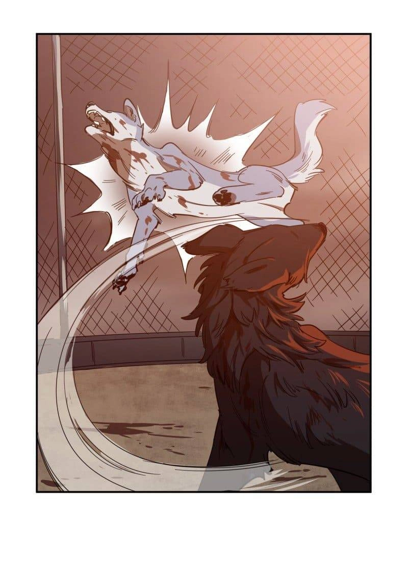 Lumine Chapter 74 - 8