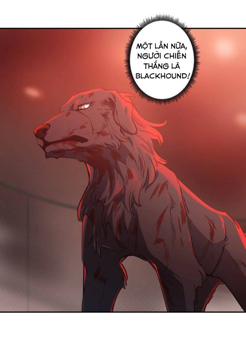 Lumine Chapter 74 - 11