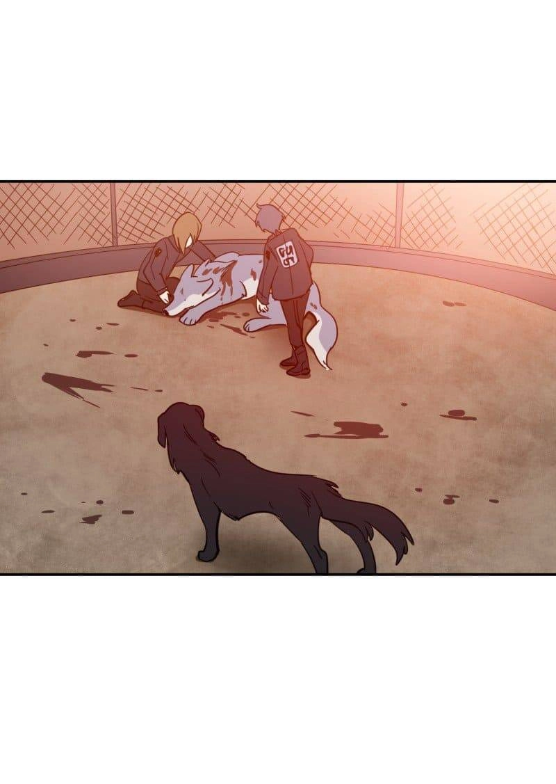 Lumine Chapter 74 - 13