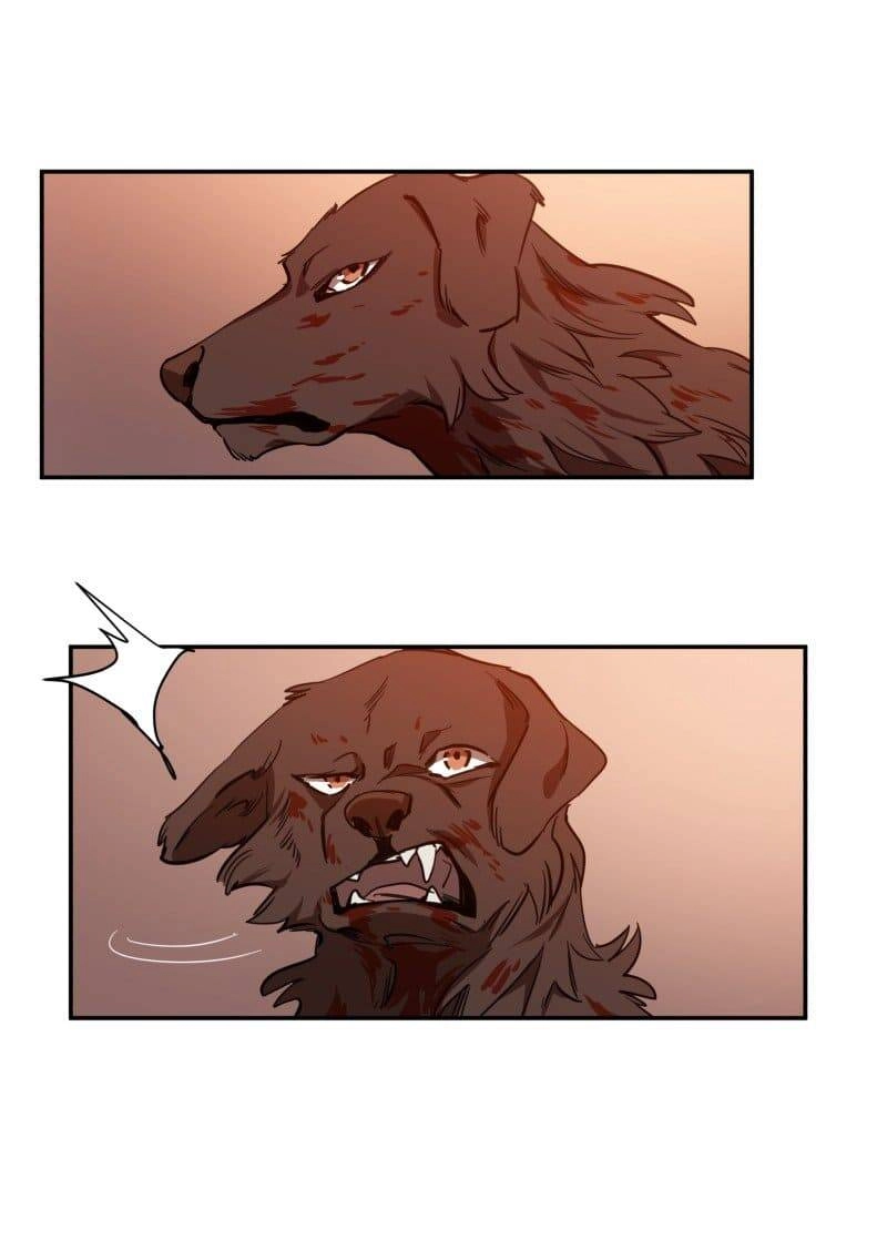 Lumine Chapter 74 - 14