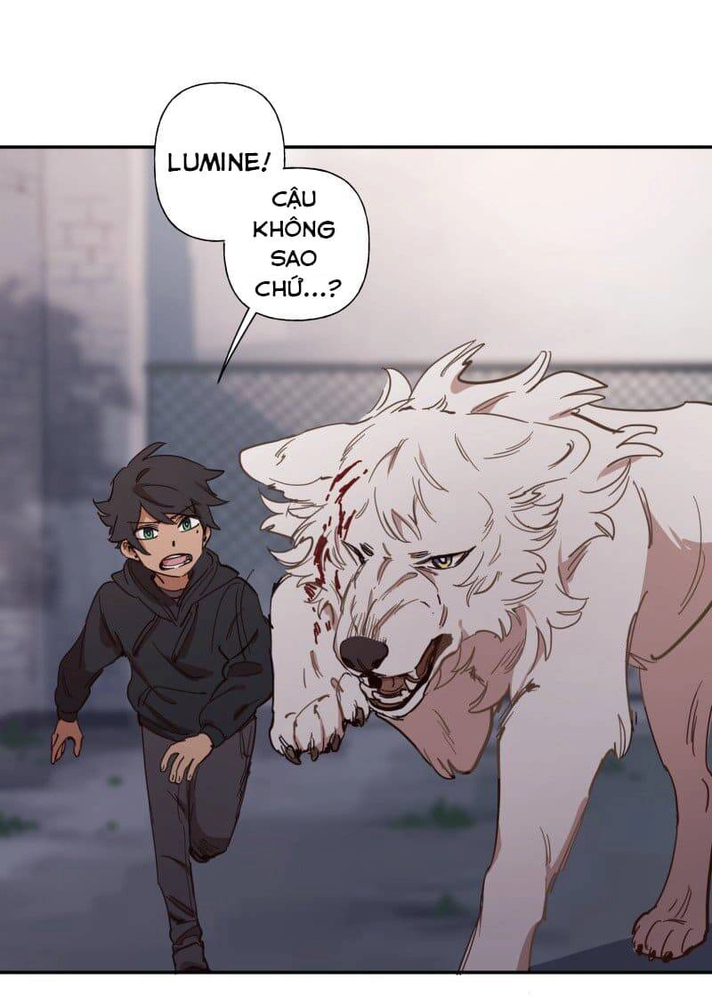 Lumine Chapter 77 - 36