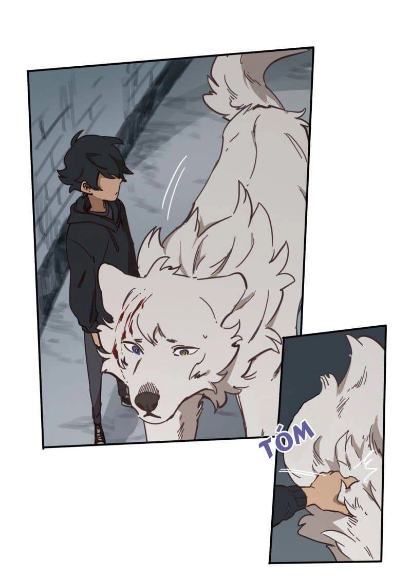 Lumine Chapter 78 - 13