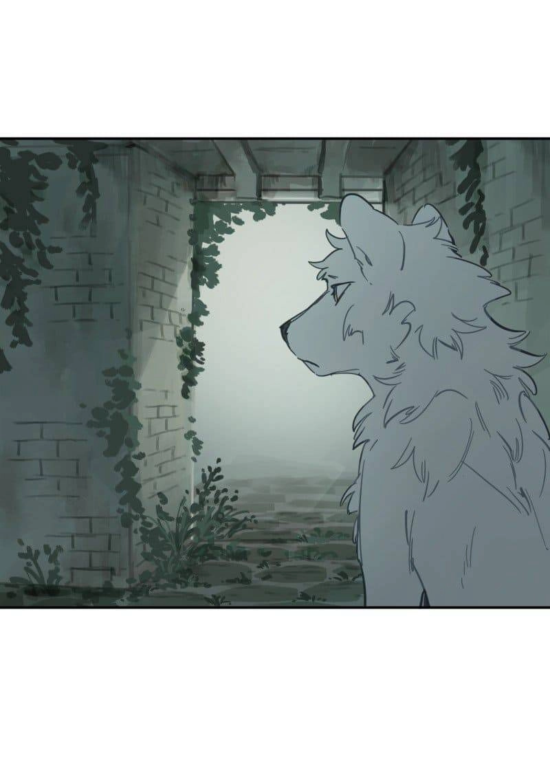 Lumine Chapter 78 - 29