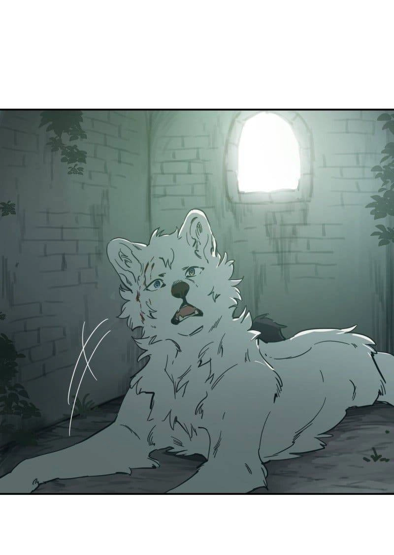 Lumine Chapter 79 - 20