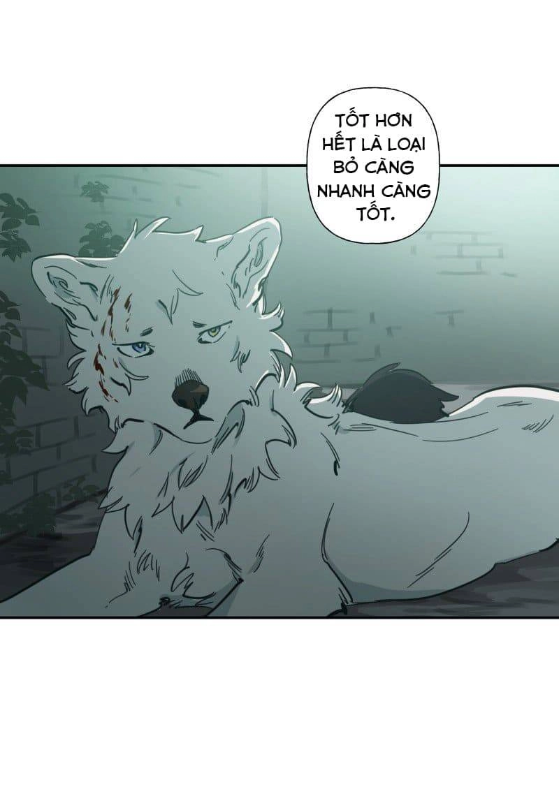 Lumine Chapter 79 - 30