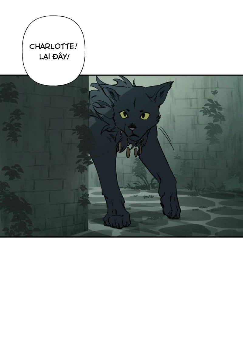 Lumine Chapter 79 - 38