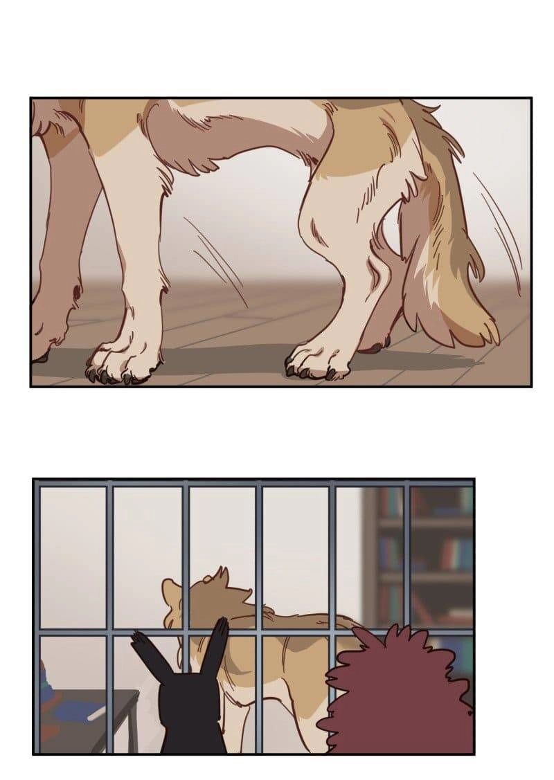 Lumine Chapter 80 - 19