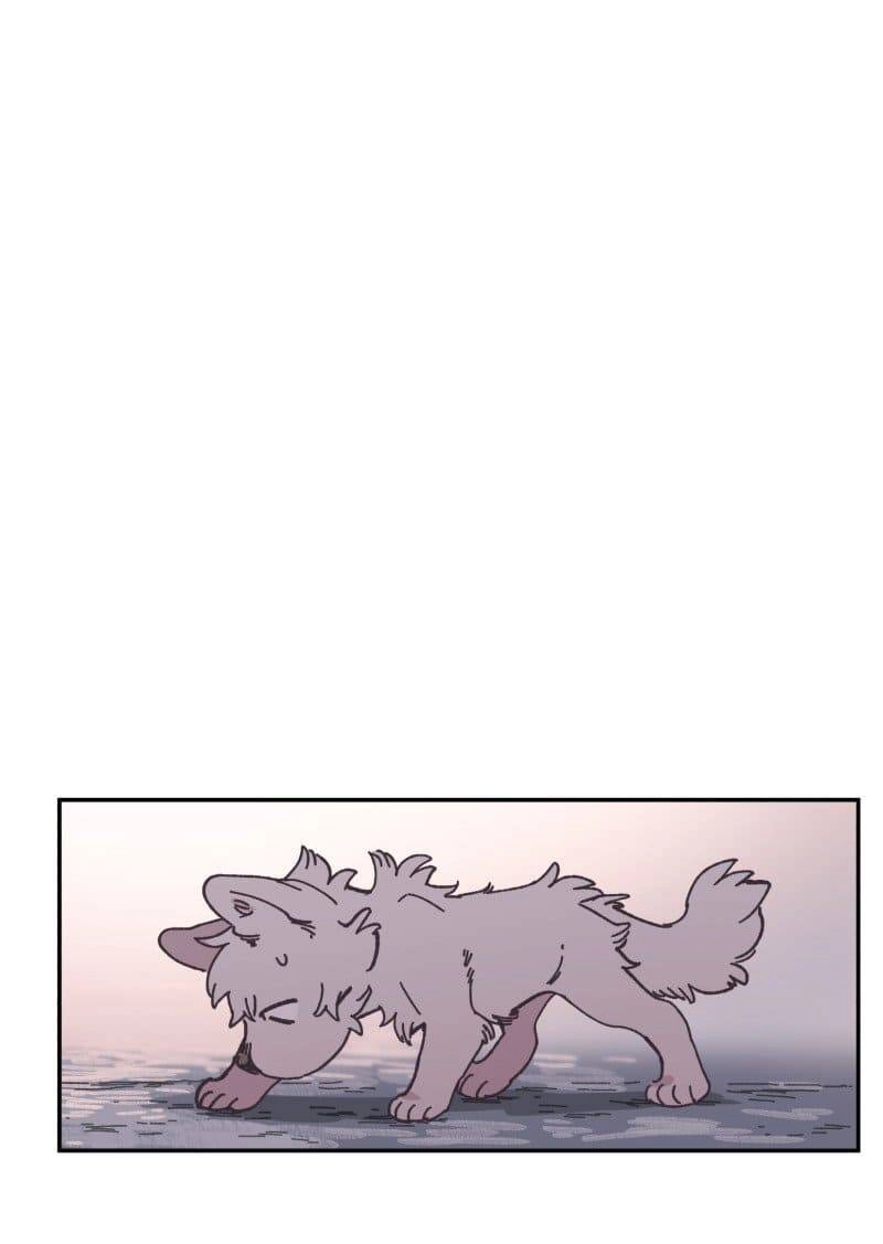 Lumine Chapter 81 - 20