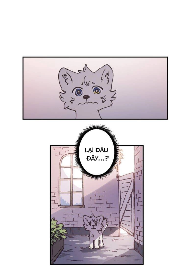 Lumine Chapter 81 - 21