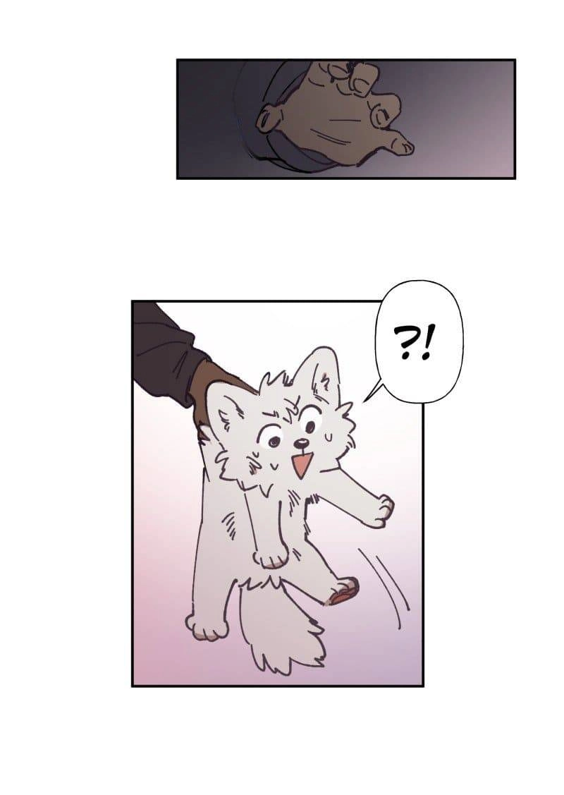 Lumine Chapter 81 - 31