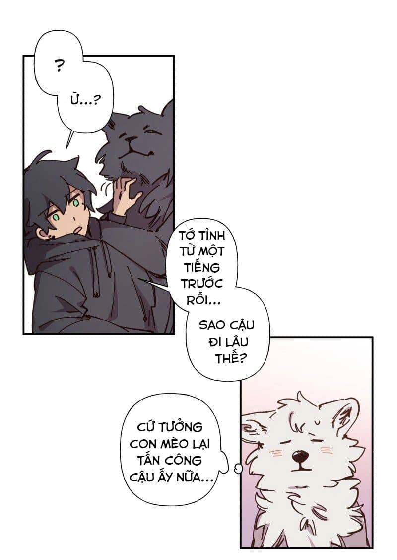 Lumine Chapter 83 - 12