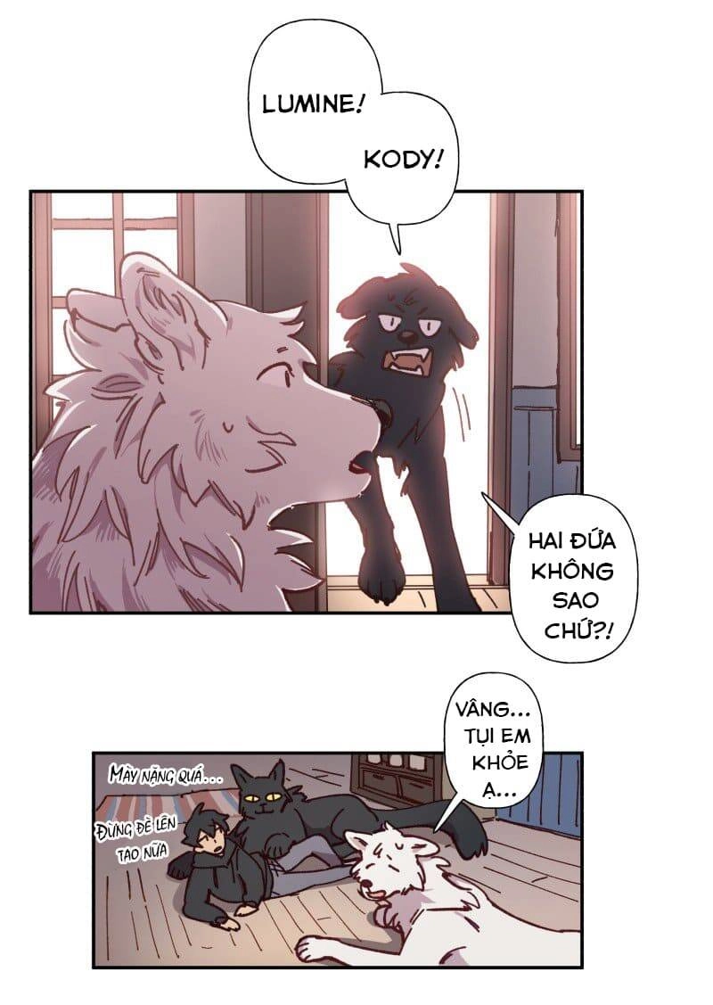 Lumine Chapter 83 - 13