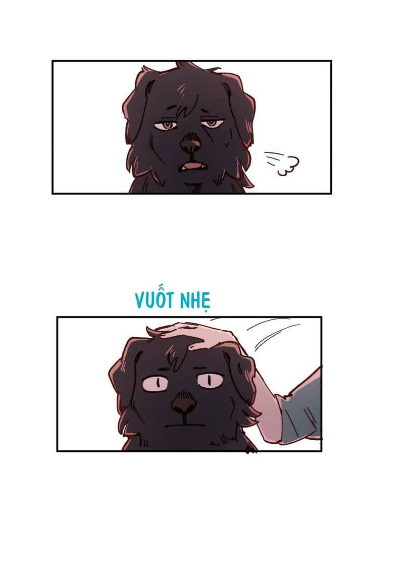 Lumine Chapter 83 - 14