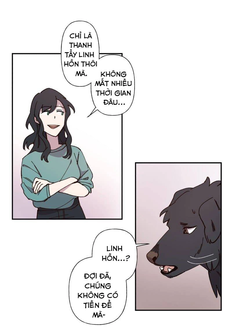 Lumine Chapter 83 - 19