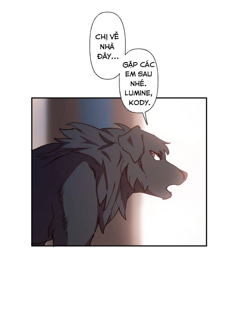 Lumine Chapter 83 - 23