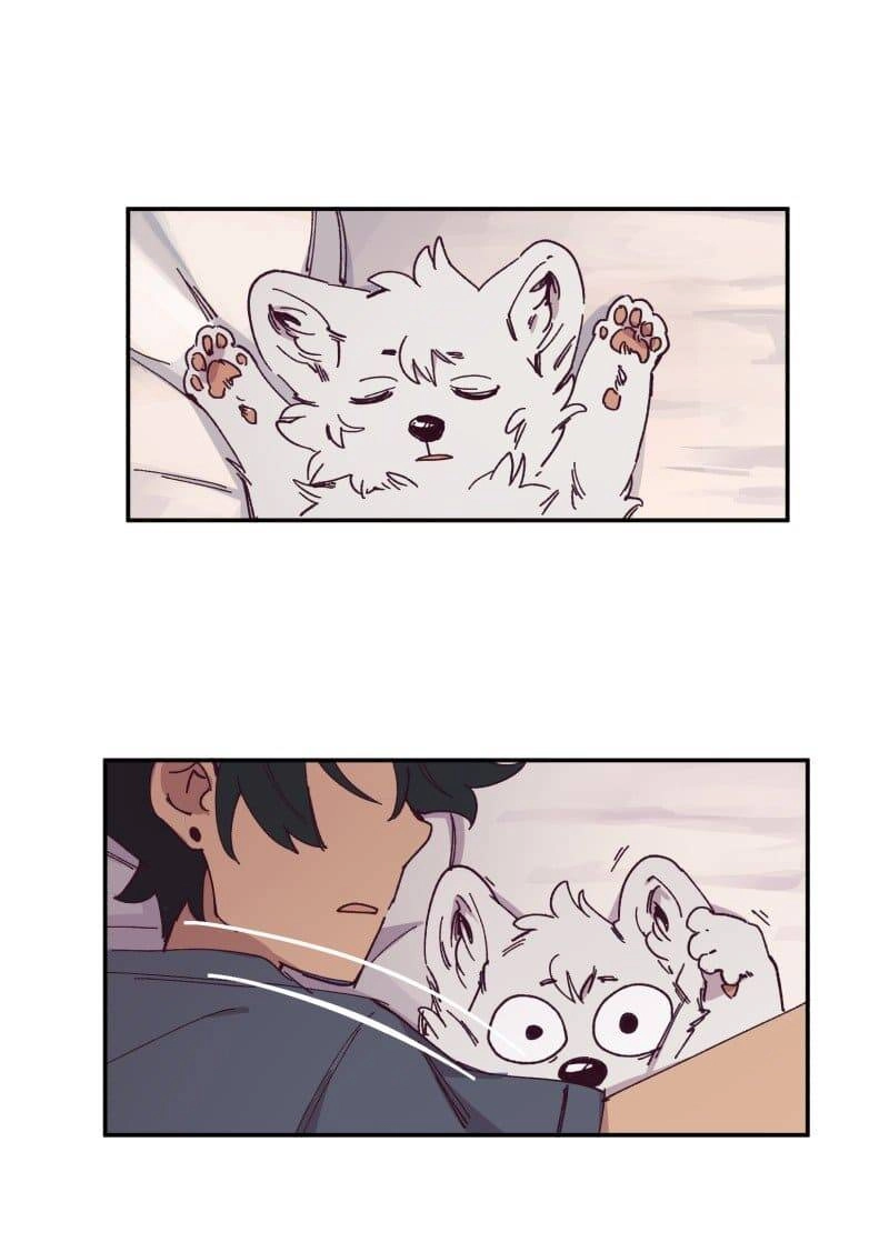 Lumine Chapter 84 - 3