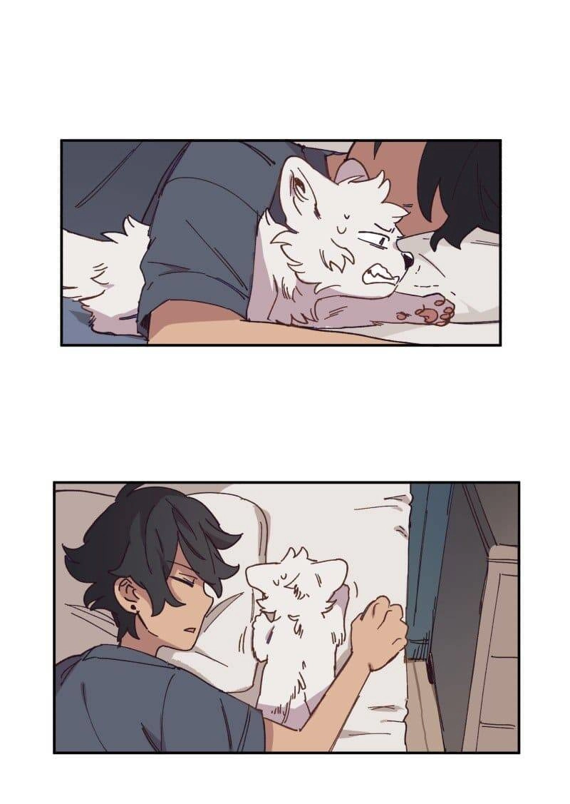 Lumine Chapter 84 - 5