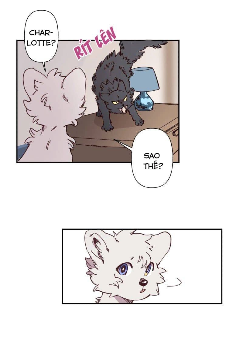 Lumine Chapter 84 - 7