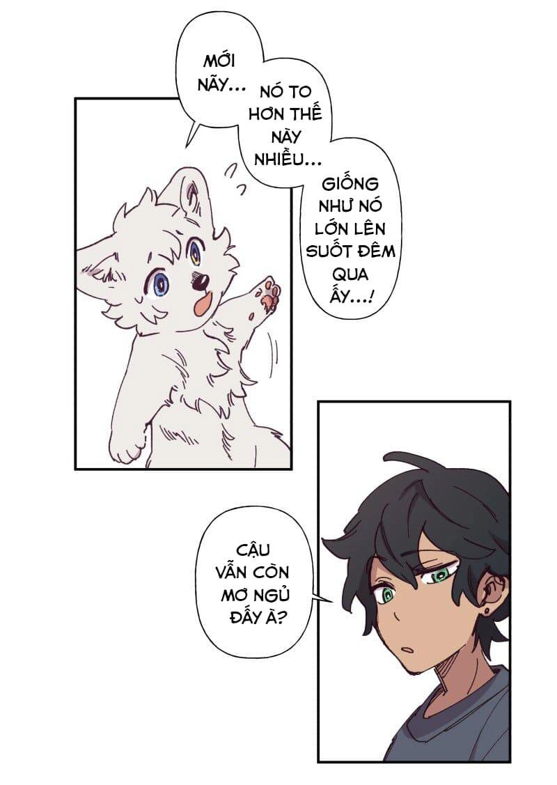 Lumine Chapter 84 - 14