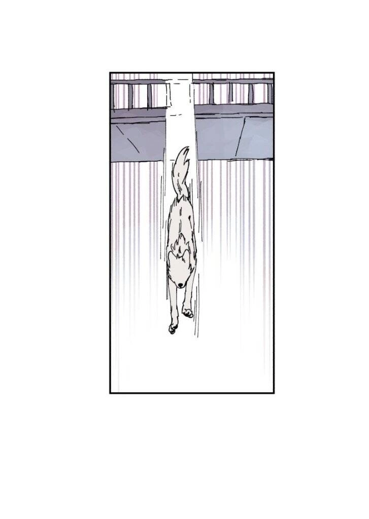 Lumine Chapter 89 - 34