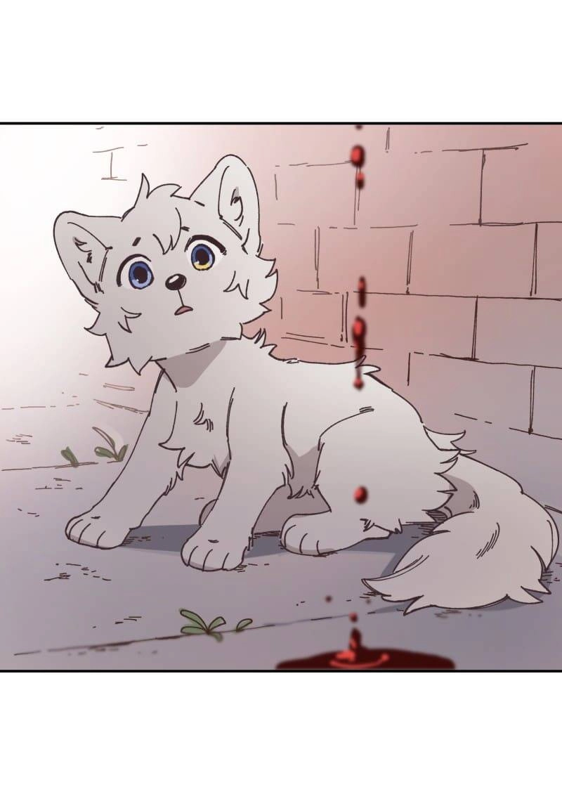 Lumine Chapter 91 - 19