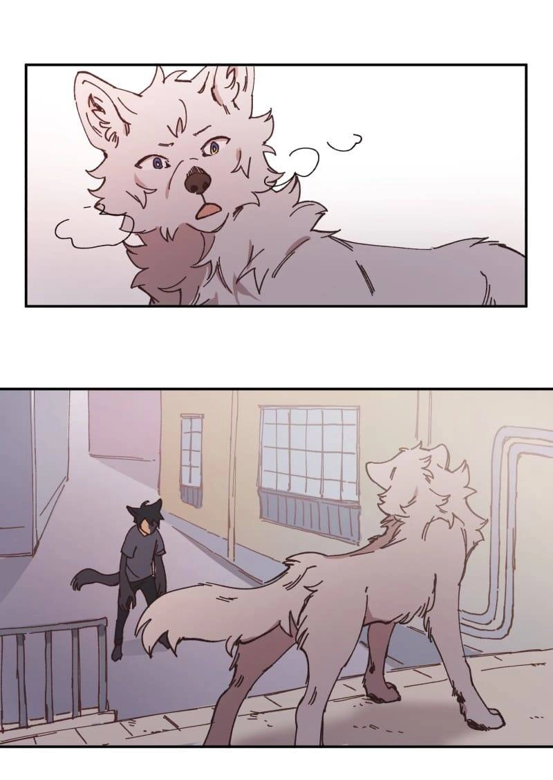 Lumine Chapter 91 - 41