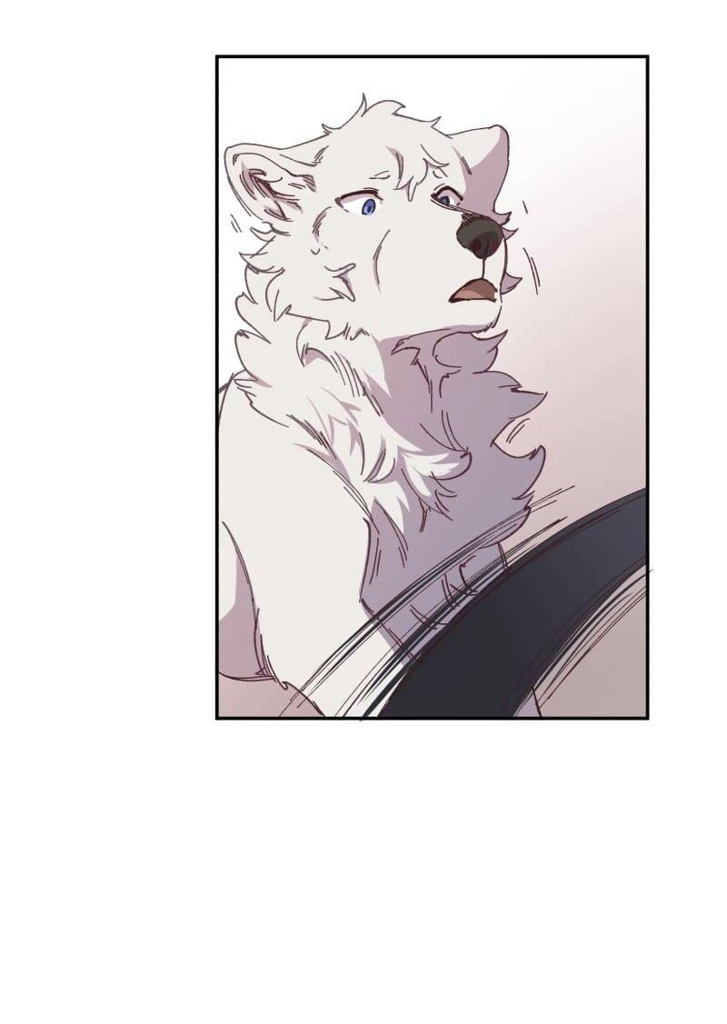 Lumine Chapter 92 - 6