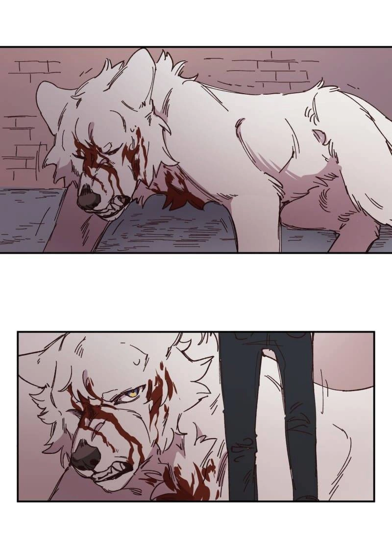 Lumine Chapter 92 - 22