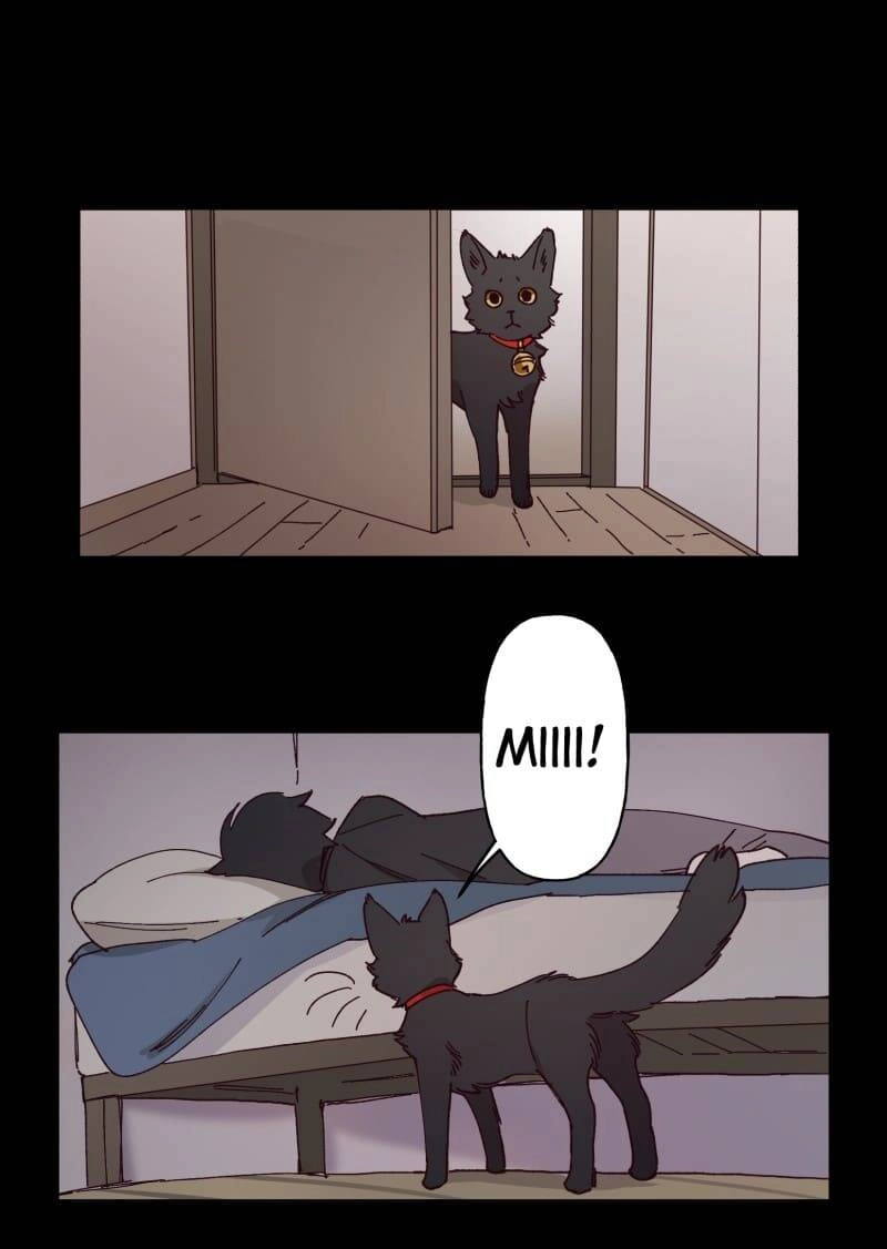 Lumine Chapter 95 - 11