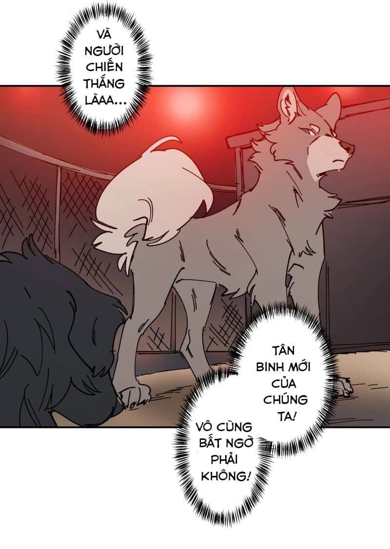 Lumine Chapter 106 - 21