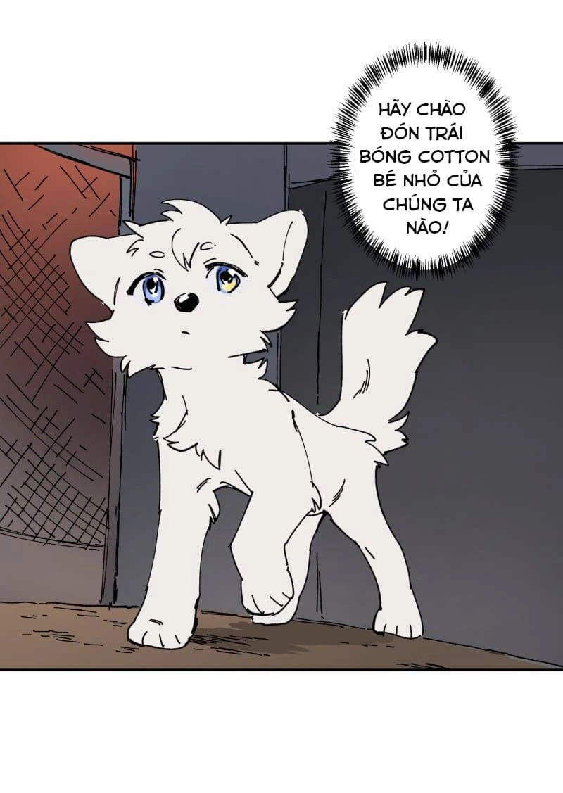 Lumine Chapter 106 - 36