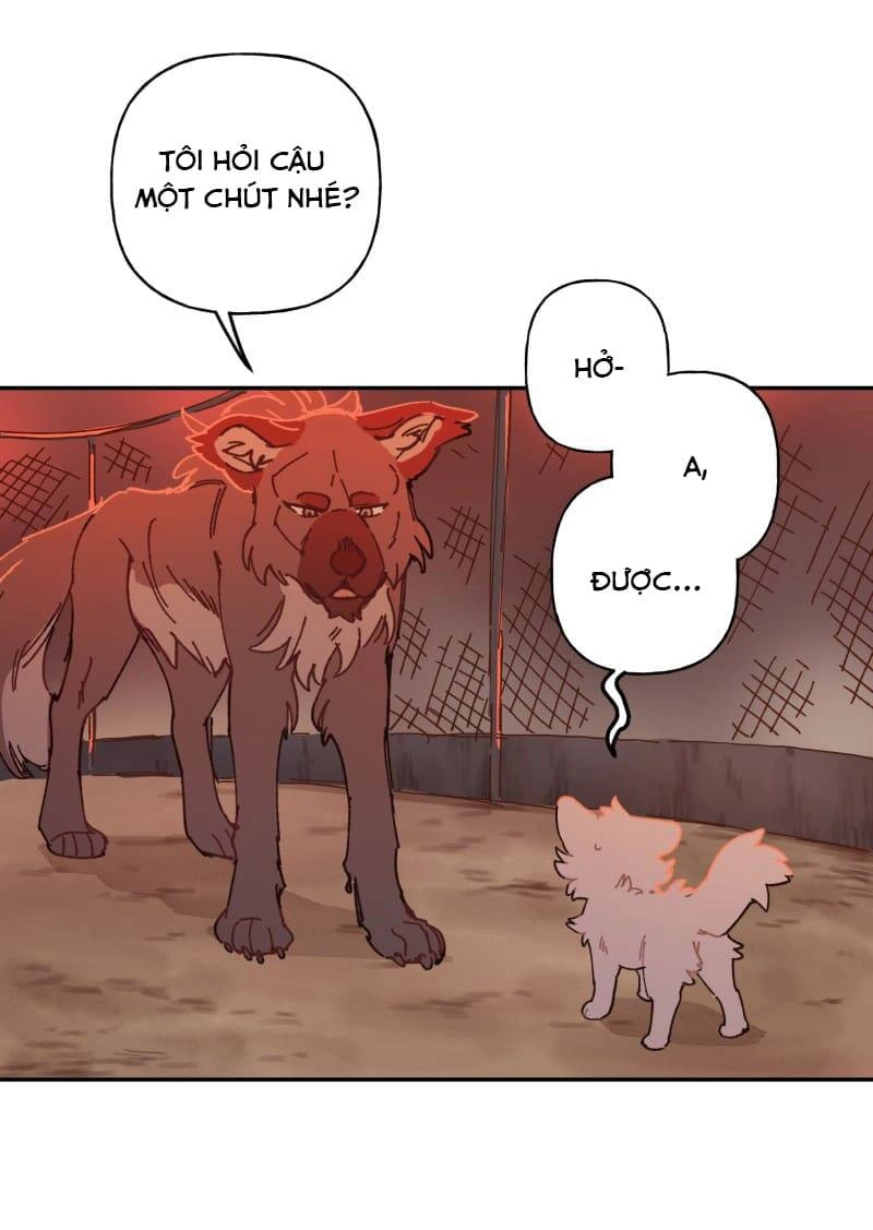 Lumine Chapter 107 - 4