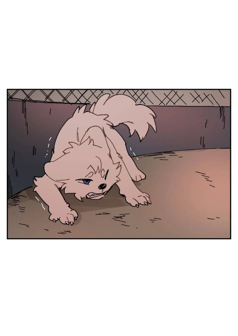 Lumine Chapter 107 - 17