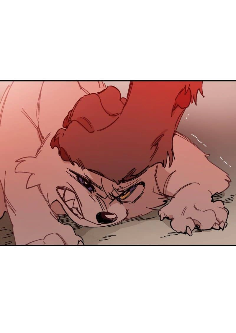 Lumine Chapter 107 - 21