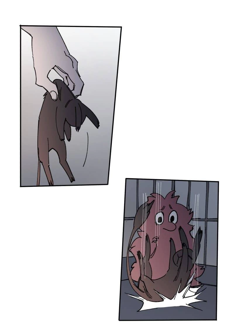 Lumine Chapter 108 - 15