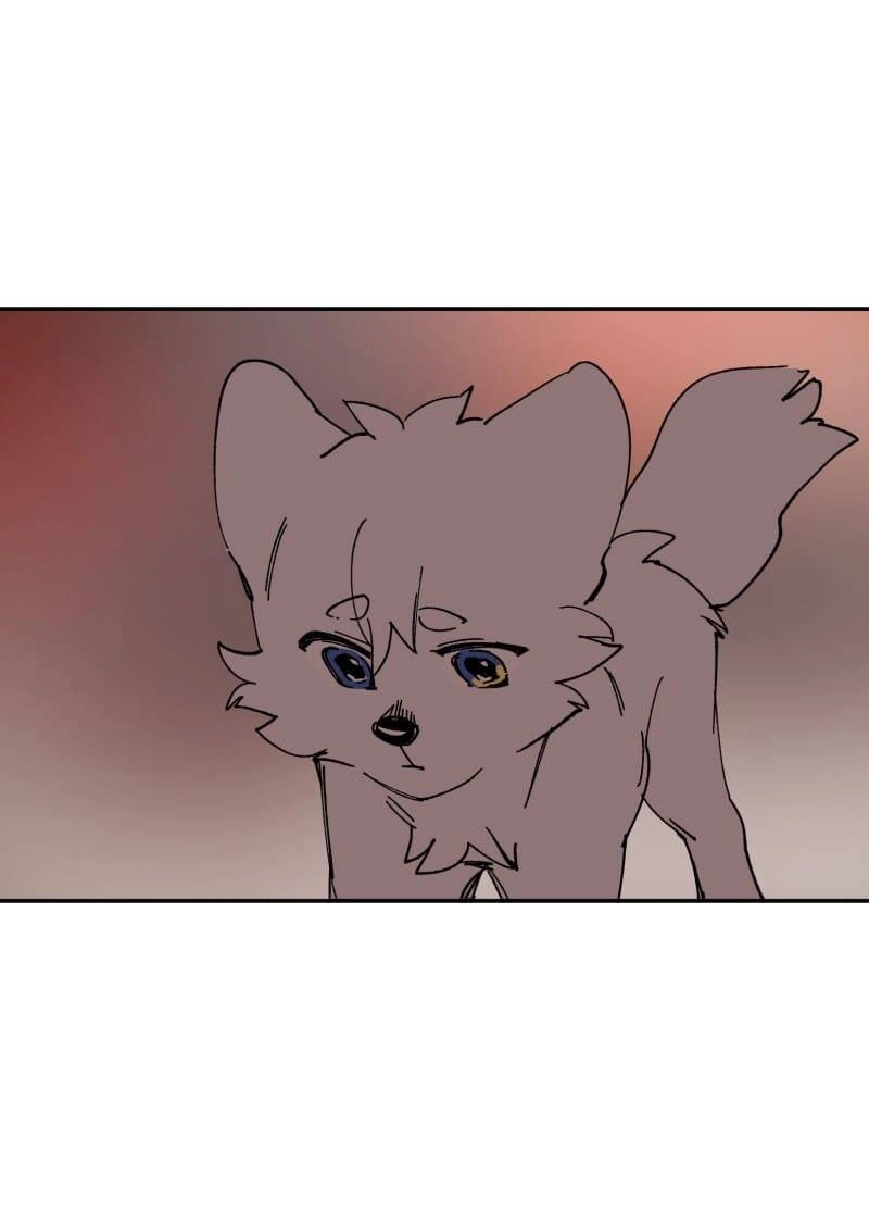 Lumine Chapter 109 - 43