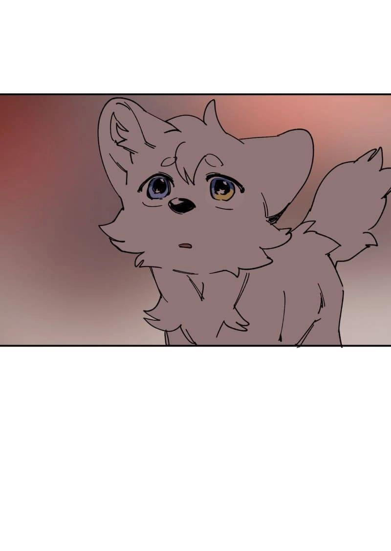 Lumine Chapter 109 - 44