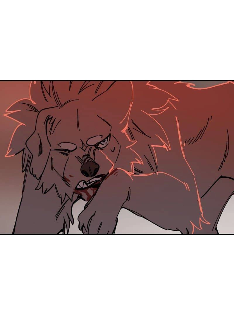 Lumine Chapter 110 - 22