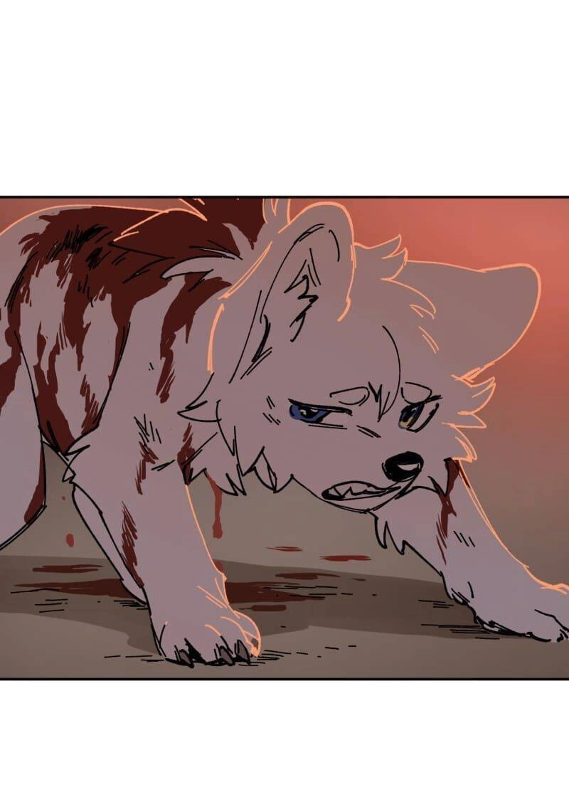 Lumine Chapter 110 - 27