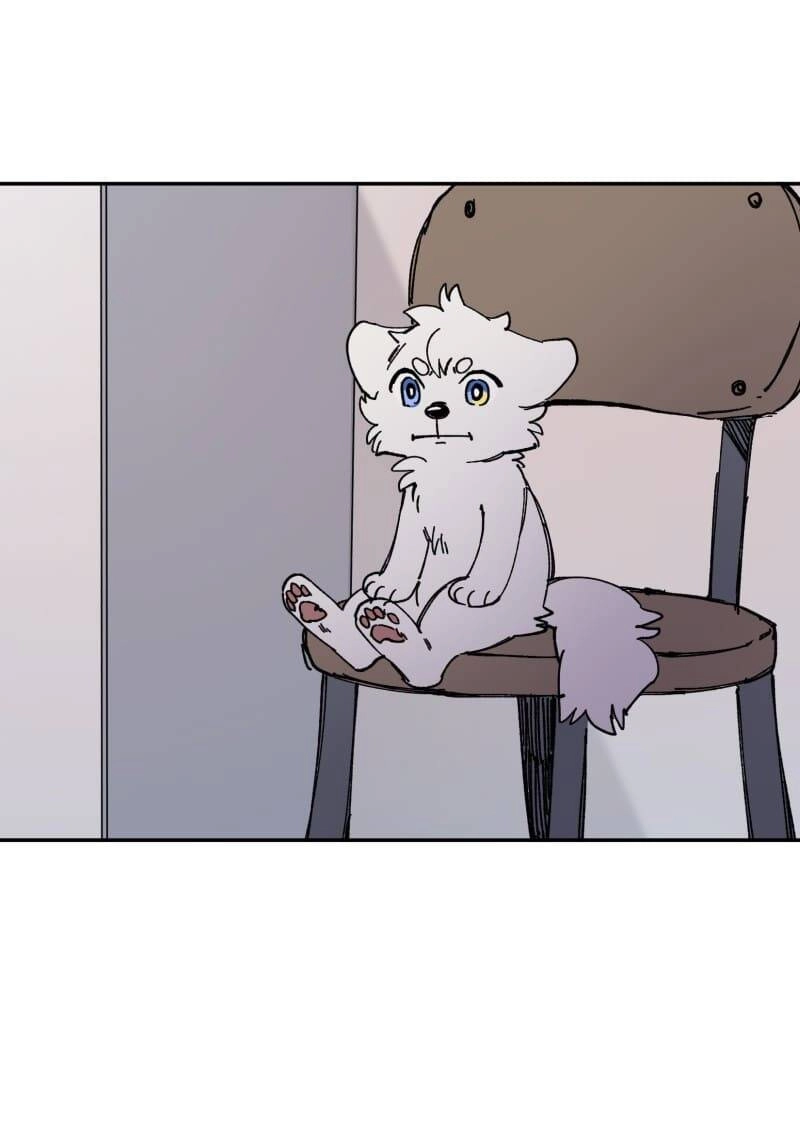 Lumine Chapter 113 - 10