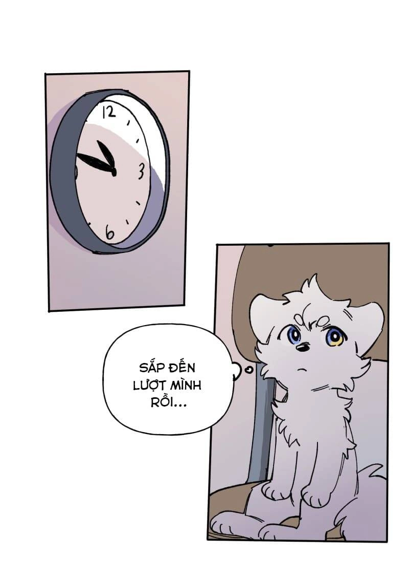 Lumine Chapter 113 - 11