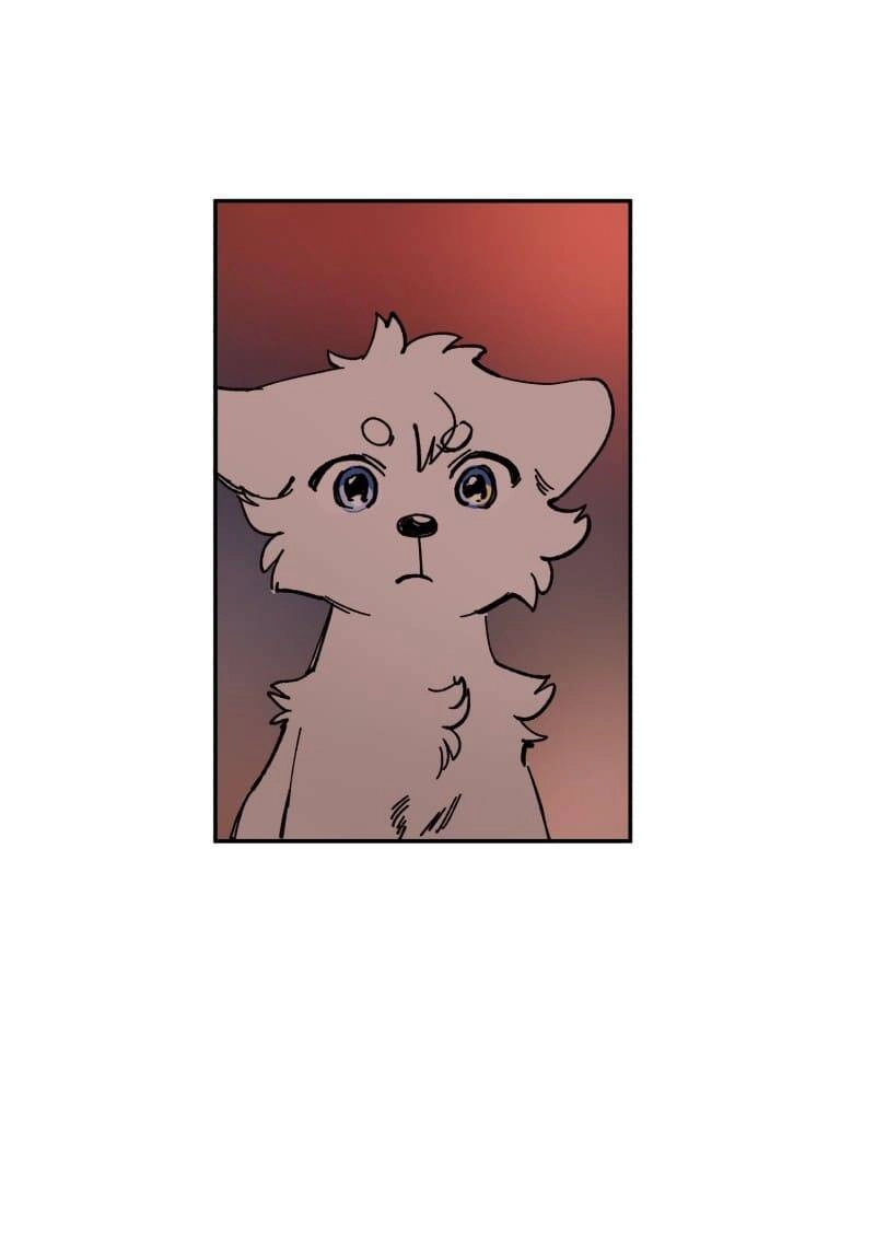 Lumine Chapter 113 - 19