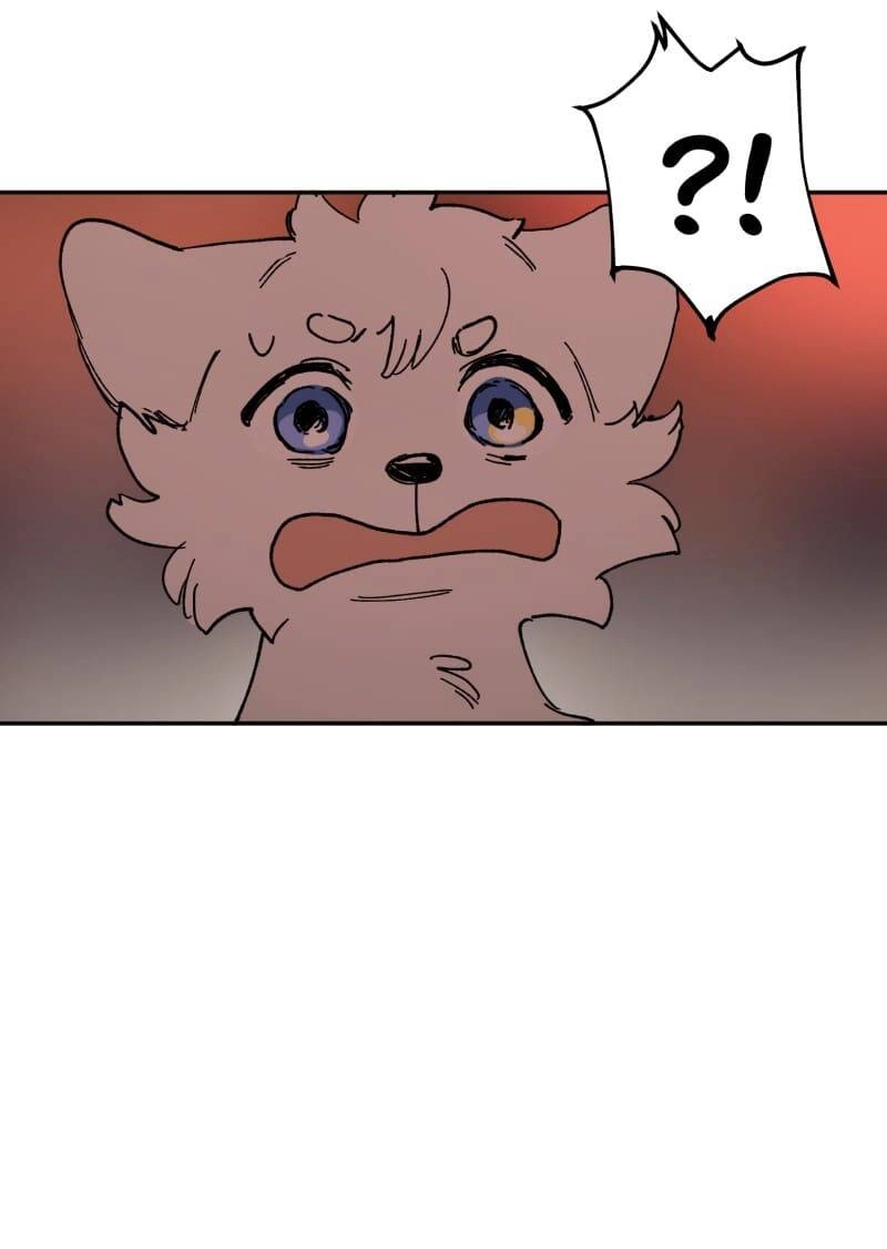 Lumine Chapter 113 - 20