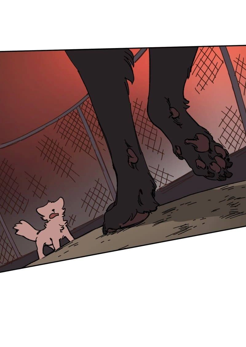 Lumine Chapter 113 - 22