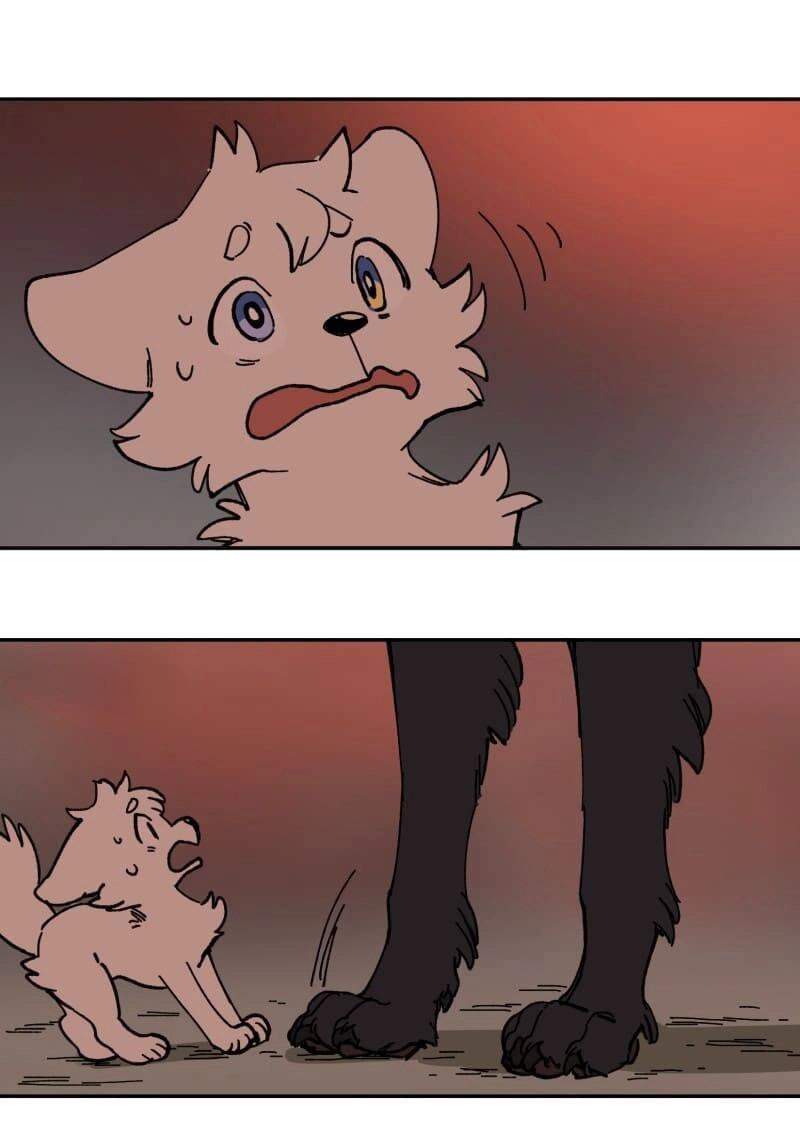 Lumine Chapter 113 - 23