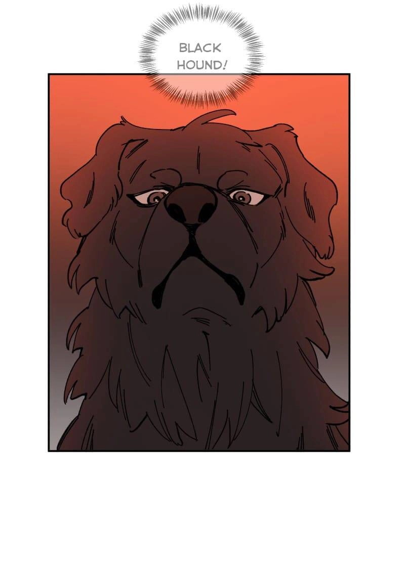 Lumine Chapter 113 - 25