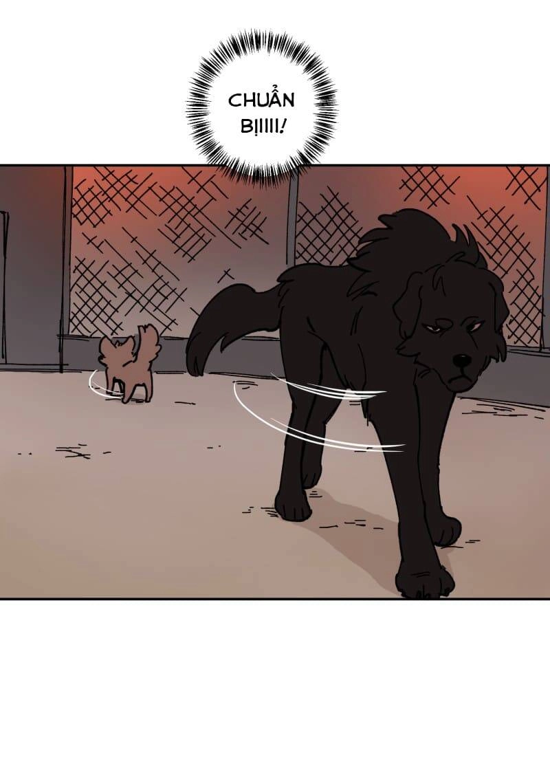 Lumine Chapter 113 - 29