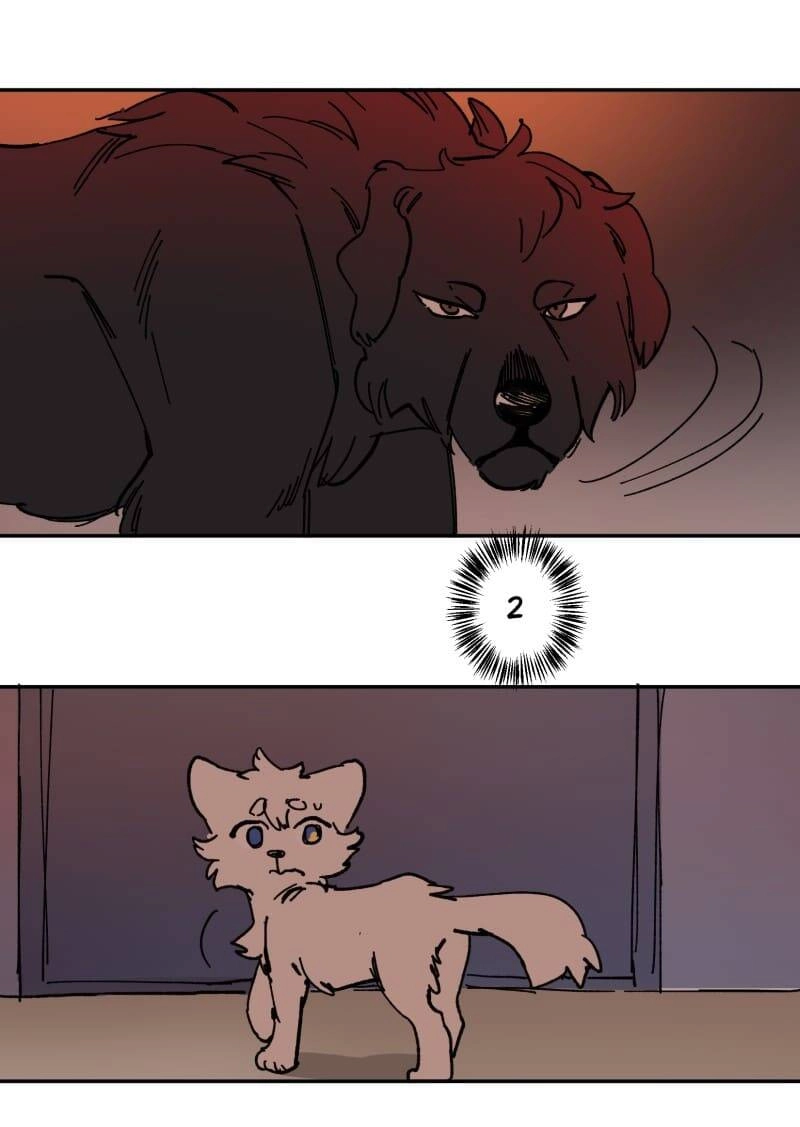 Lumine Chapter 113 - 31